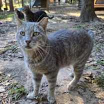 Thumbnail photo of Bert #2