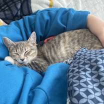 Thumbnail photo of Twyla #3