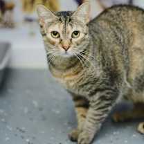 Thumbnail photo of Sky (Maui) #3