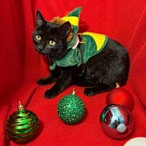 Thumbnail photo of Amani  #2