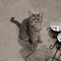 Thumbnail photo of Mama #1