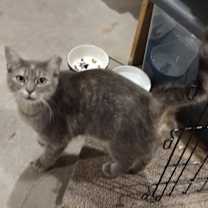 Thumbnail photo of Mama #2