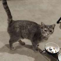 Thumbnail photo of Mama #3