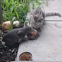 Thumbnail photo of Mama #4