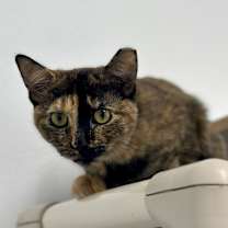 Thumbnail photo of Ellen #1