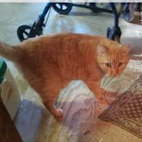 Thumbnail photo of Fred #1