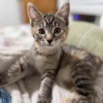 Thumbnail photo of Wrigley #1