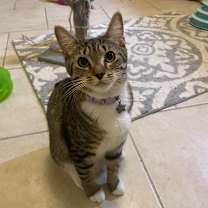 Thumbnail photo of Lilly #1