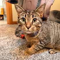 Thumbnail photo of Mylo #4