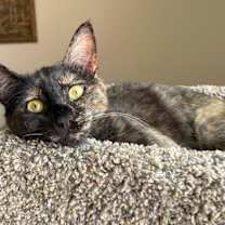 Thumbnail photo of Malina #1