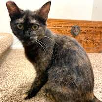 Thumbnail photo of Malina #4