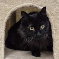 Thumbnail photo of Mary Ellen #2