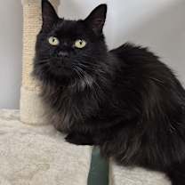 Thumbnail photo of Mary Ellen #4