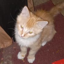 Thumbnail photo of Sunny #2