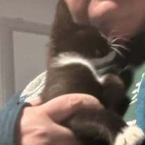 Thumbnail photo of TweedleDum-Alfie #2