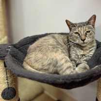 Thumbnail photo of Bonnie #2