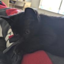 Thumbnail photo of Rita Dyal-RS #1