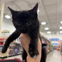 Thumbnail photo of Rita Dyal-RS #2