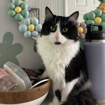 Thumbnail photo of Daisy #2