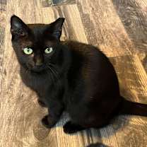 Thumbnail photo of Lil Mama #1