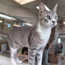 Thumbnail photo of Jane #1