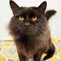 Thumbnail photo of George #2