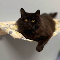 Thumbnail photo of George #4