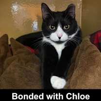 Thumbnail photo of Zoe #1