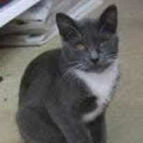 Thumbnail photo of Boots #1