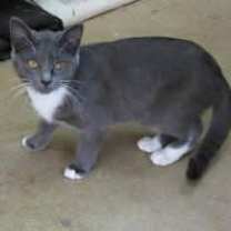 Thumbnail photo of Boots #2