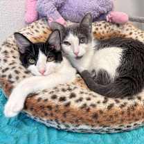 Thumbnail photo of Sarah #4