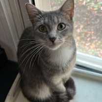 Thumbnail photo of Juniper #1