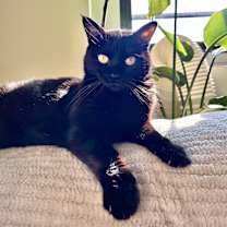 Thumbnail photo of Raj #3