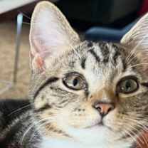 Thumbnail photo of Sticky Note #2