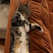 Thumbnail photo of Sticky Note #3