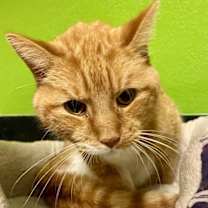 Thumbnail photo of Amari #2