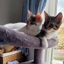 Thumbnail photo of Claire #4