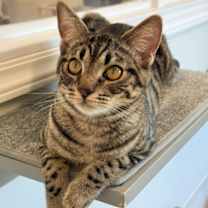 Thumbnail photo of First Mate #2