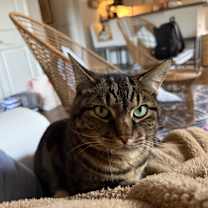 Thumbnail photo of Robert #1