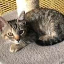 Thumbnail photo of Debbie #4