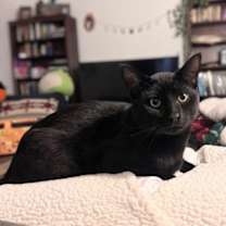 Thumbnail photo of Michael #1