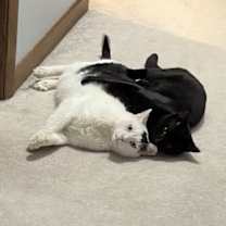 Thumbnail photo of Michael #2