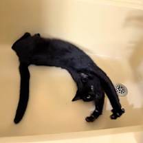 Thumbnail photo of Michael #3