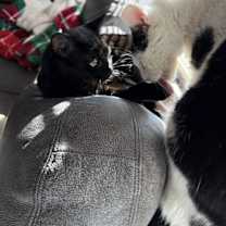 Thumbnail photo of Michael #4