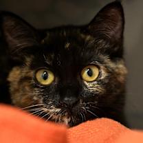 Thumbnail photo of Debbie #4