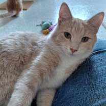 Thumbnail photo of Zion @ The Cat's Brew #4