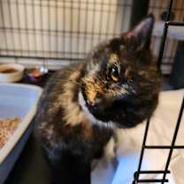 Thumbnail photo of Baby #2