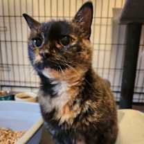 Thumbnail photo of Baby #3