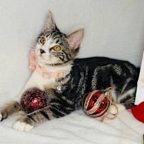 Thumbnail photo of Nessy #4