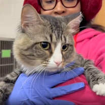 Thumbnail photo of Paloma #3